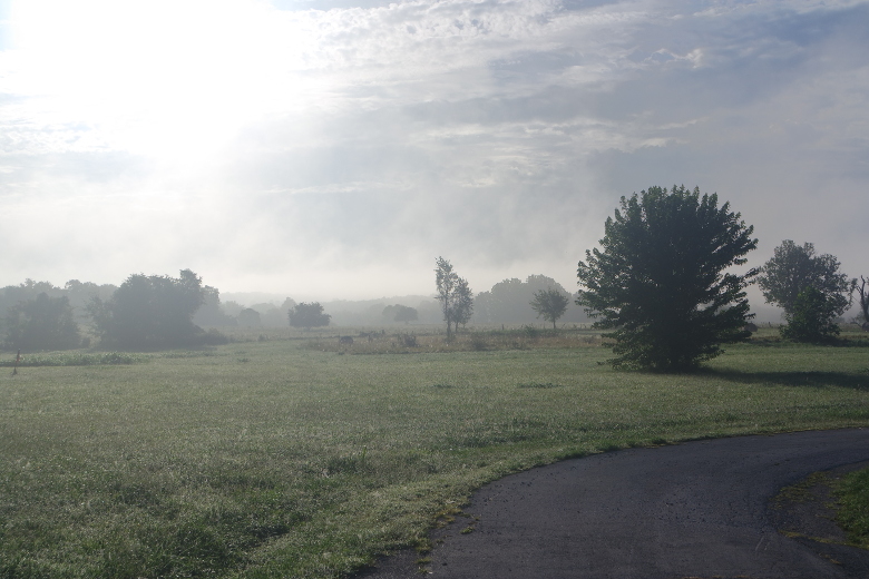 Morning fog in Missouri